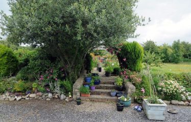 Carrick, Bannow, Co. Wexford Y35 WP82