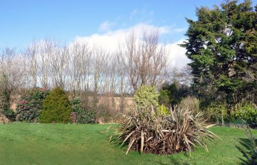 Cullenstown, Duncormick, Co. Wexford Y35 XE33