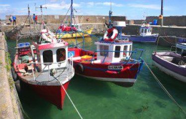 Ramstown, Fethard on Sea, Co. Wexford Y34 XT25