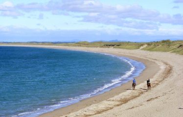 Newtown, Kilmore Quay, Co Wexford Y35 N528