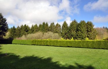 Fir Trees, Aughermon, Ballymitty, Co Wexford Y35 EW02