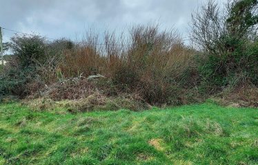 Cullenstown, Duncormick, Co. Wexford Y35NW93