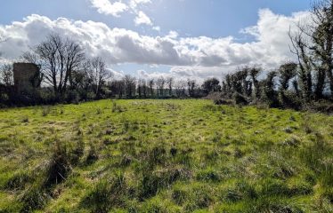 ‘The Old Castle’, Yolegrove, Taghmon, Co Wexford, Y35 F861
