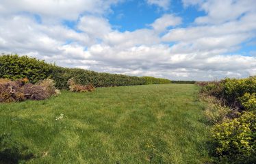 Churchtown, Fethard-On-Sea, Co. Wexford Y34FK52