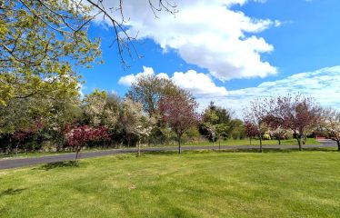 Mayfield, Saint Martin’s Park,  Ballycullane, Co Wexford  Y34AK74