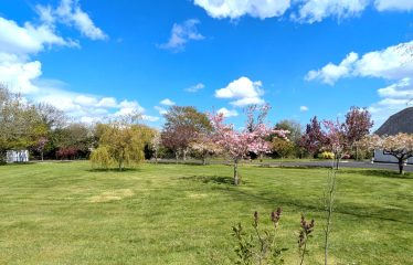 Mayfield, Saint Martin’s Park,  Ballycullane, Co Wexford  Y34AK74