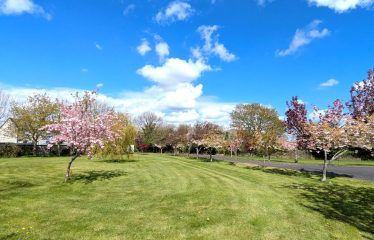 Mayfield, Saint Martin’s Park,  Ballycullane, Co Wexford  Y34AK74