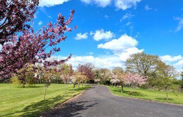 Mayfield, Saint Martin’s Park,  Ballycullane, Co Wexford  Y34AK74