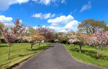 Mayfield, Saint Martin’s Park,  Ballycullane, Co Wexford  Y34AK74