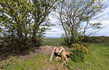 Whitty’s Cottage, Whittyshill, Wellingtonbridge, Co Wexford Y35 P9W9
